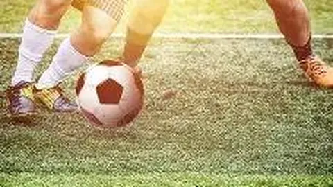 开云中国Kaiyun 资讯 094254 vjz