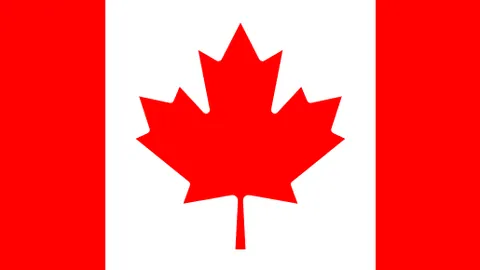 卡马拉惊天世界波助维拉力克狼队，马丁神勇扑救谱写防守传奇