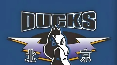 开云中国 140254